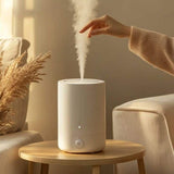 Huile parfumée | Épinette et agrumes