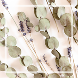 Bougie | Eucalyptus Lavande